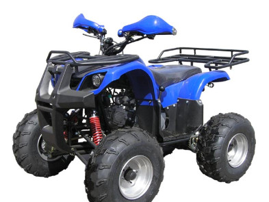 SkyMoto Panda 110 (2x4) - синий