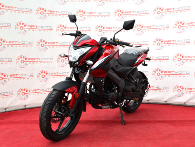 Bashan Pilot S 250 - красный