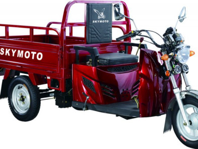 SkyMoto HERCULES – 110B