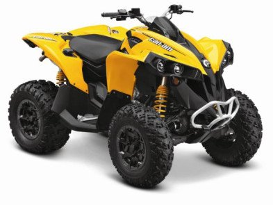 BRP Can-Am Renegade 800 STD