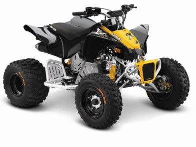 BRP Can-Am MINI DS 90 X