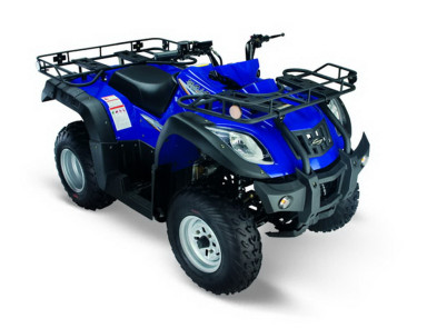 Jianshe 250 ATV-5 Wild Cat Синий