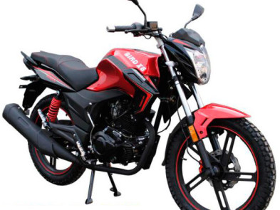 SkyMoto BIRD Х6 200