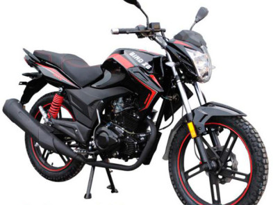 SkyMoto BIRD Х6 150