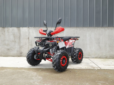 Квадроцикл FORTE ATV 125L