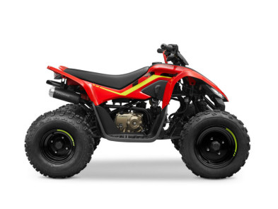 Квадроцикл CFMOTO CFORCE 110