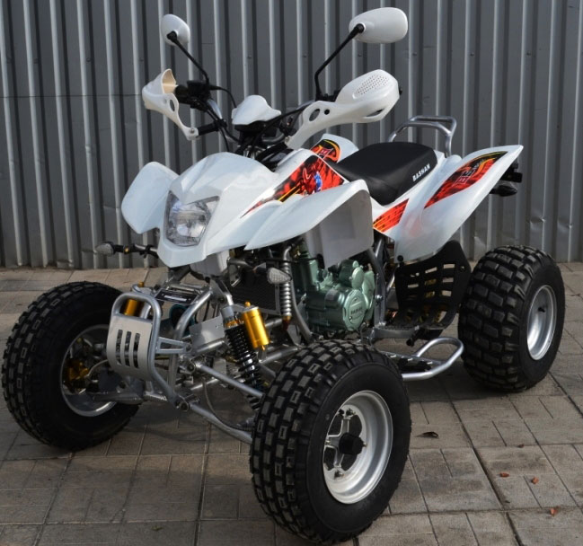 Bashan BS250S-11B Белый