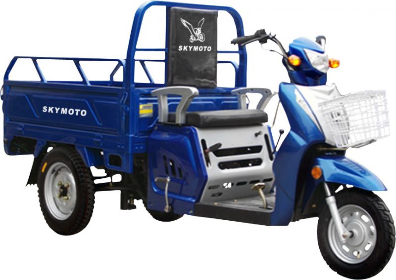 SkyMoto HERCULES - 110 6A