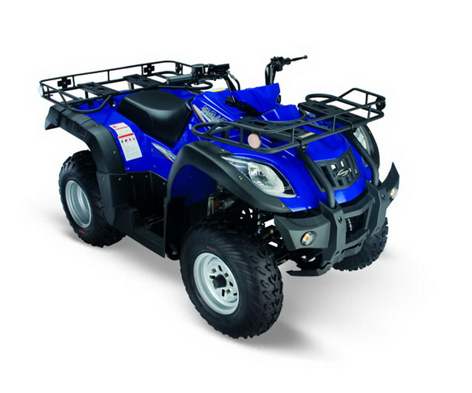 Jianshe 250 ATV-5 Wild Cat Синий