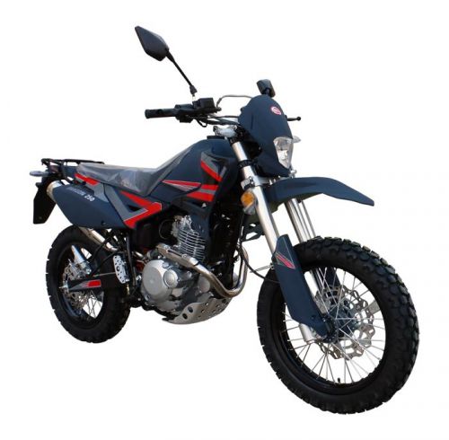 SkyMoto Dragon 250